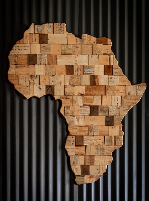 L’Afrique à l’heure de la reprise